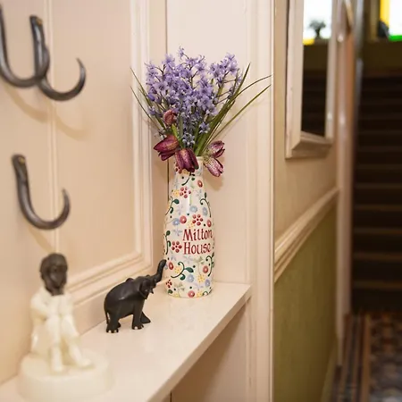 Milton House Studio Apartment Suites ゲストハウス 5*